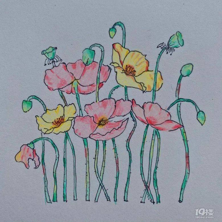 周末的慢时光｜画笔下的碎碎念