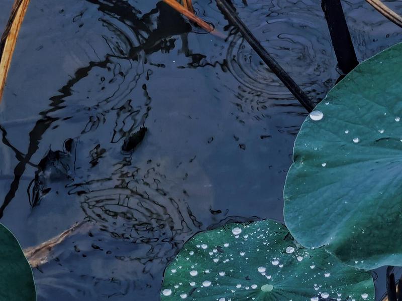 八字之内，情话千年？