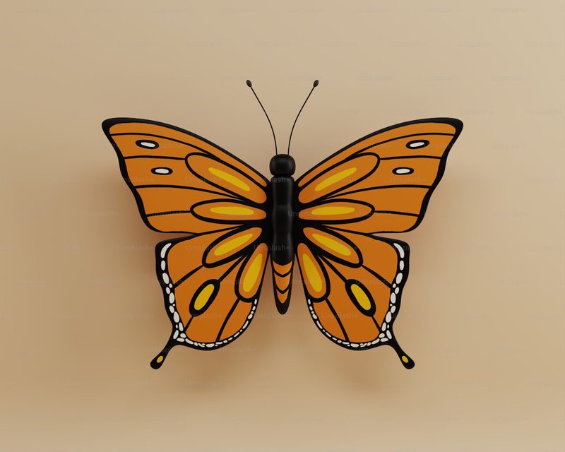 阳台上的小秘密…