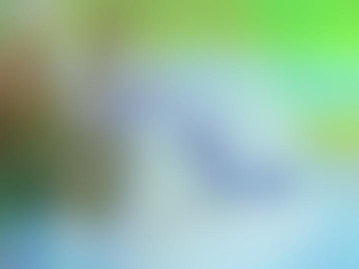 记忆中的“鞠萍姐姐讲故事”丨一段温暖的童年回忆