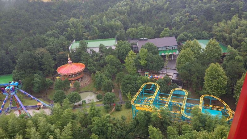 中南百草园一日游｜腿断了，但快乐满分