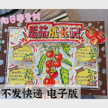 今天的动物园之行？