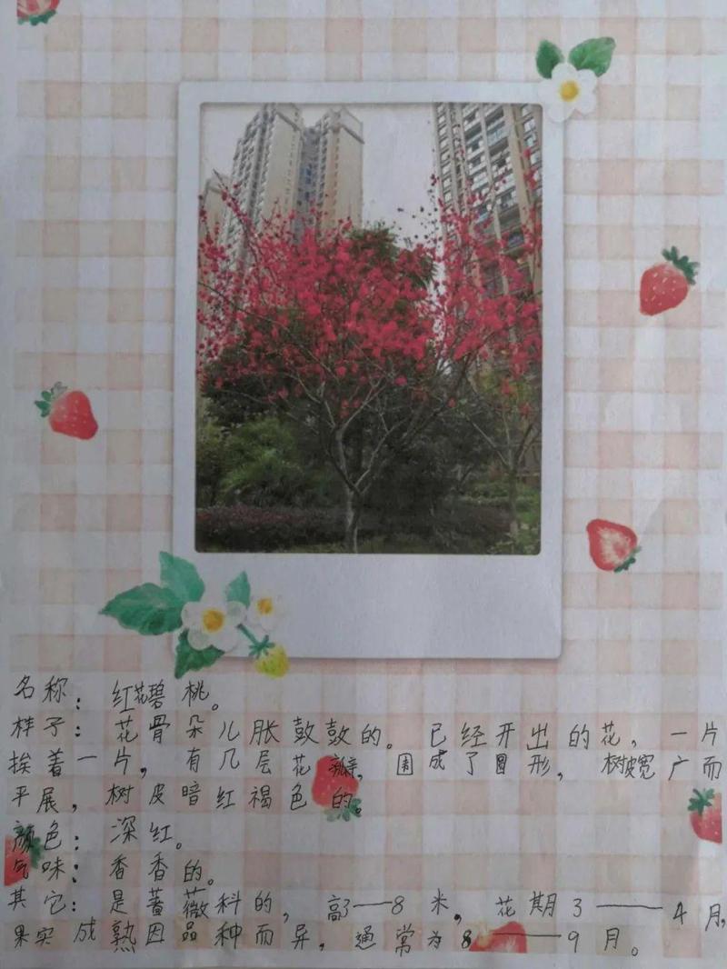 阳台上的那一抹红，治愈了我的周一焦虑…