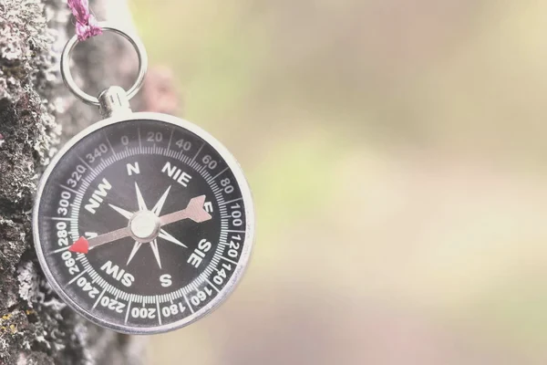 大自然的指南针日记：一次与自然的奇妙相遇