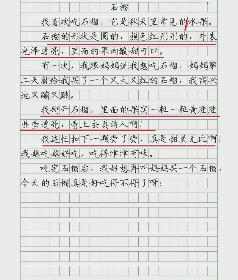 石榴树下的思考…