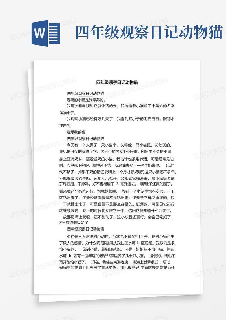 观察日记—楼下那只胖橘的下午茶