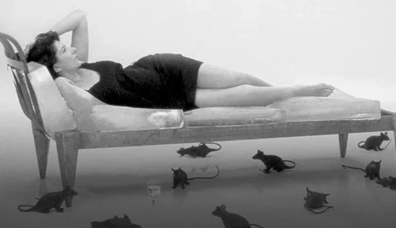 冷落后的情话，依然温暖人心！