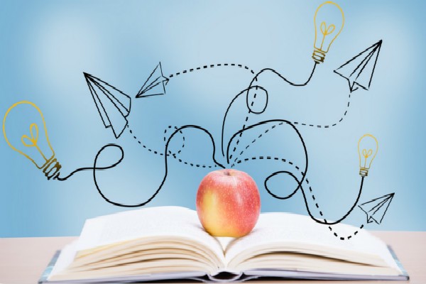 雨后的校园，新发现？