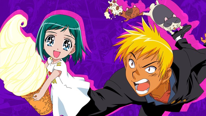 日记小鸟·生活中的小确幸