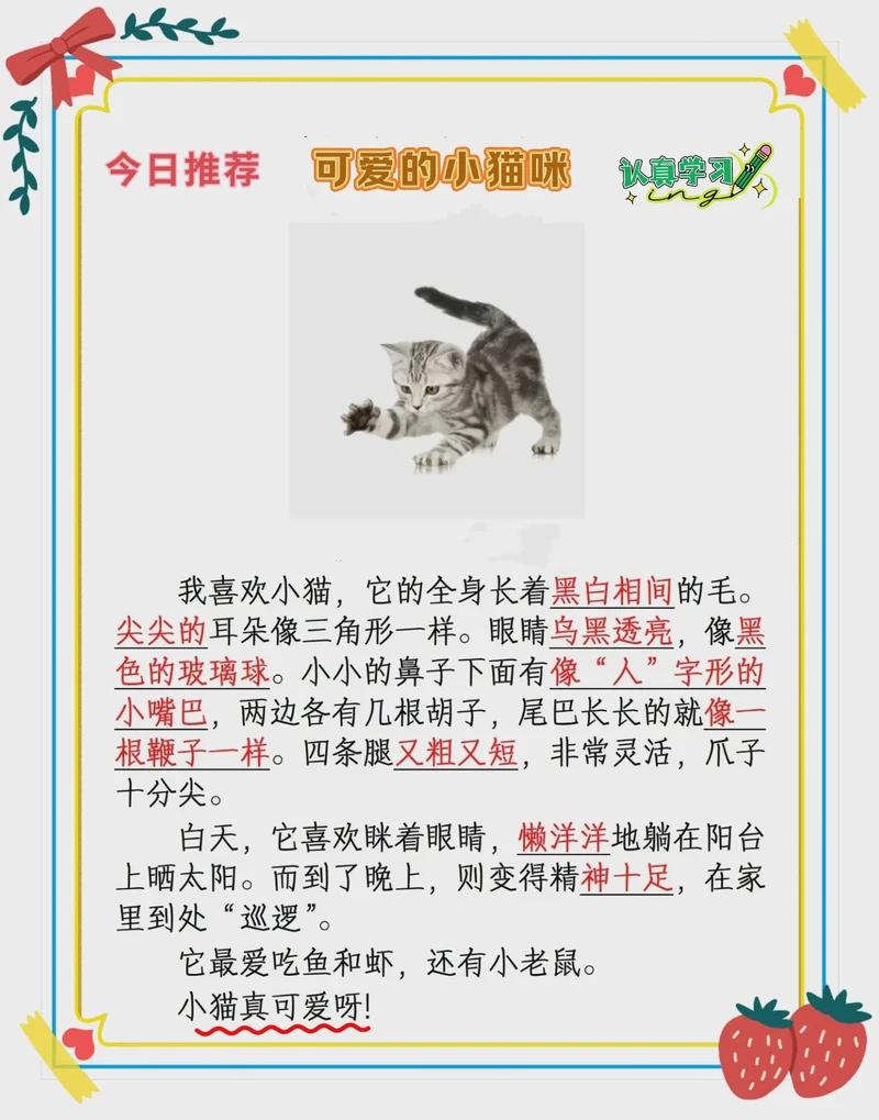 今天我家小猫又偷吃了我的作业本！