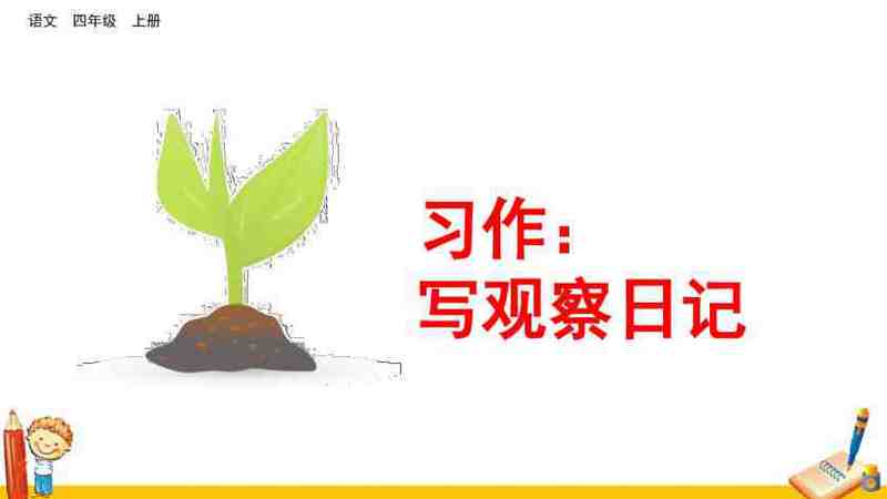 小豆芽的成长日记？