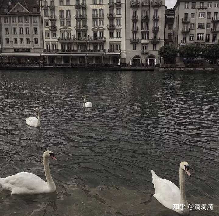 隐藏在唇边的温柔，只为你绽放？