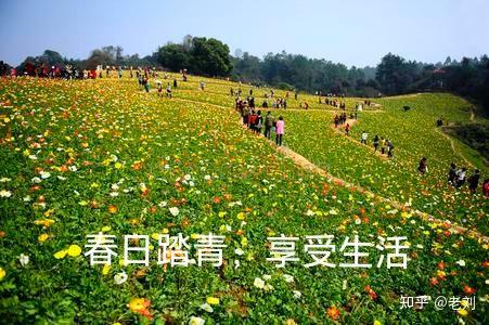 清明小长假，我在后山等你？