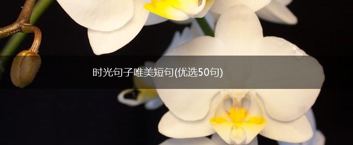 时光的痕迹，爱你如初…