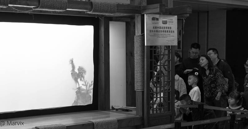 美丽的广场日记！