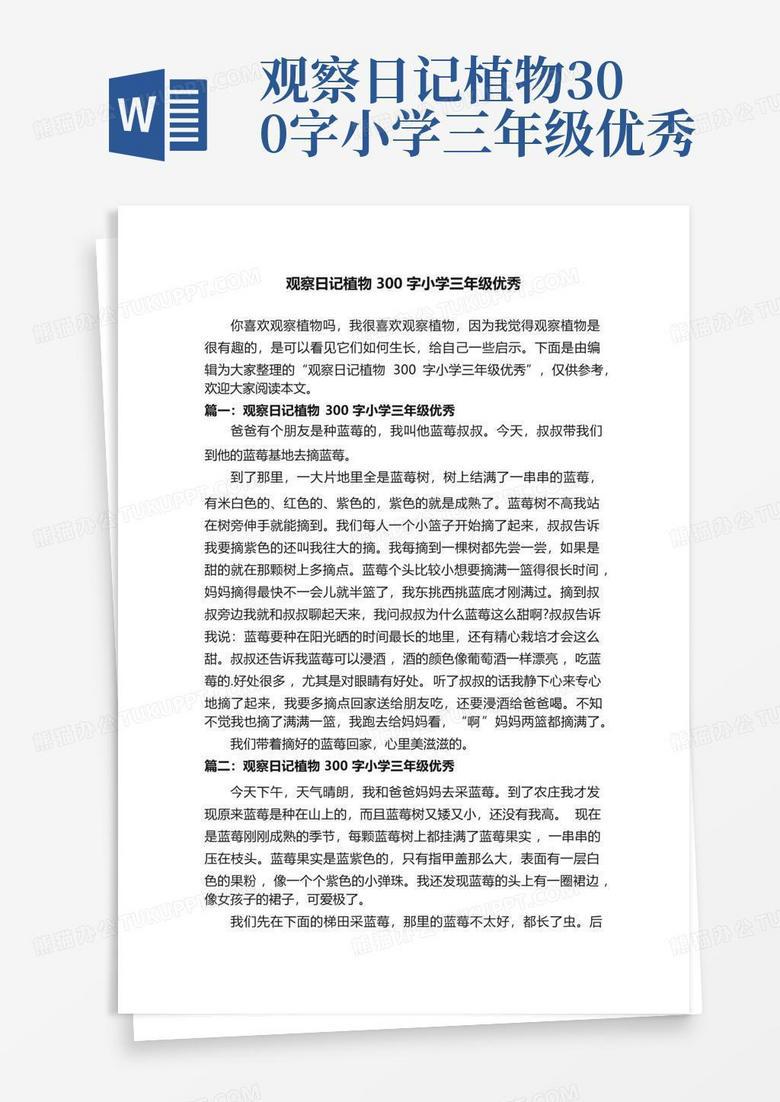 观察日记—夏日的午后时光