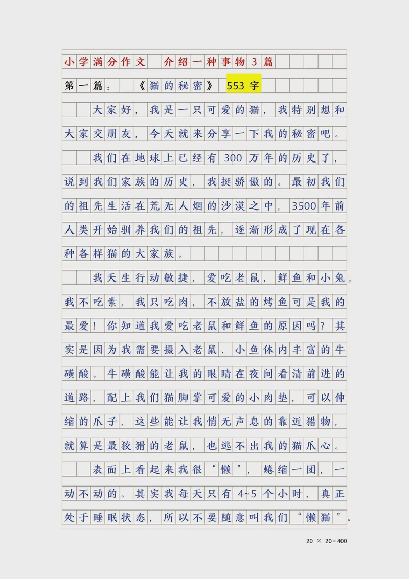 观察日记｜神奇的小蚂蚁