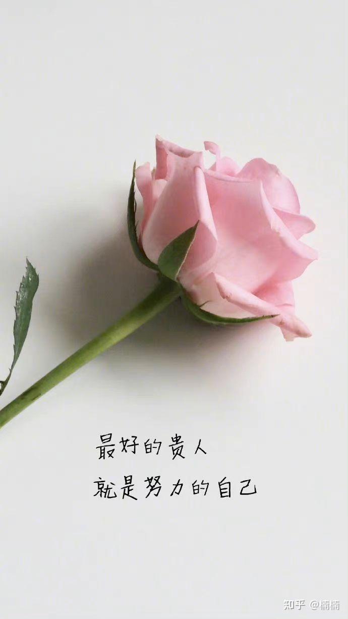 情话如诗,专家语录中的浪漫心声? 情话如诗,专家语录中的浪漫心声?