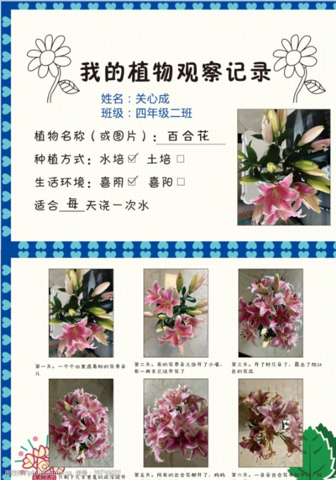 今天发现了一株特别的花…