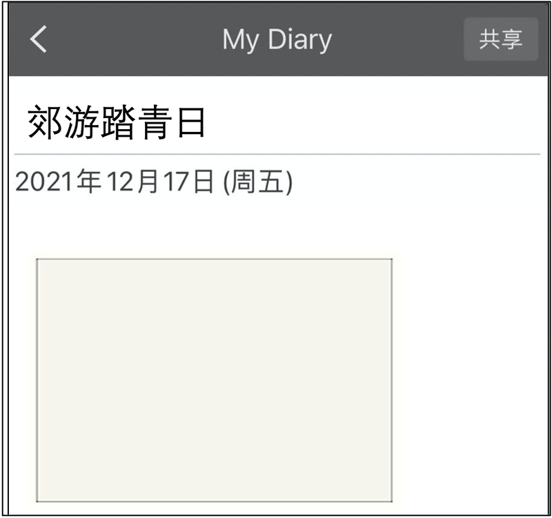 所有日记的碎片