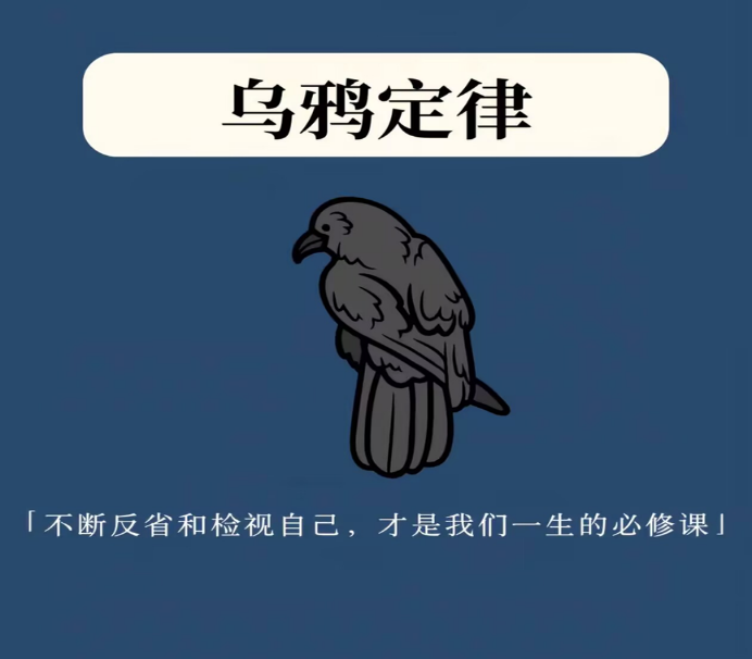 当乌鸦开口，爱情悄然降临？