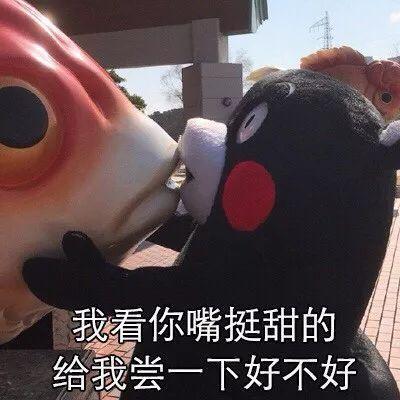 月光下的秘密对话？