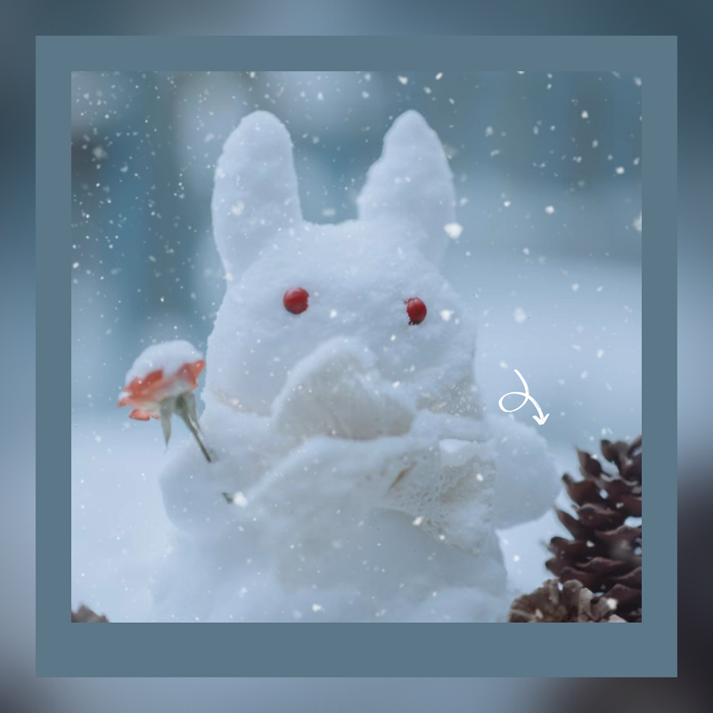 下雪天的情话｜浪漫与温柔的完美结合