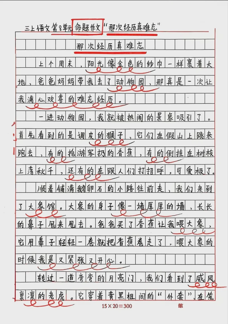 动物园里的奇遇记！