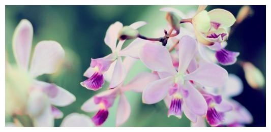 情话精选·短小而温馨的爱语