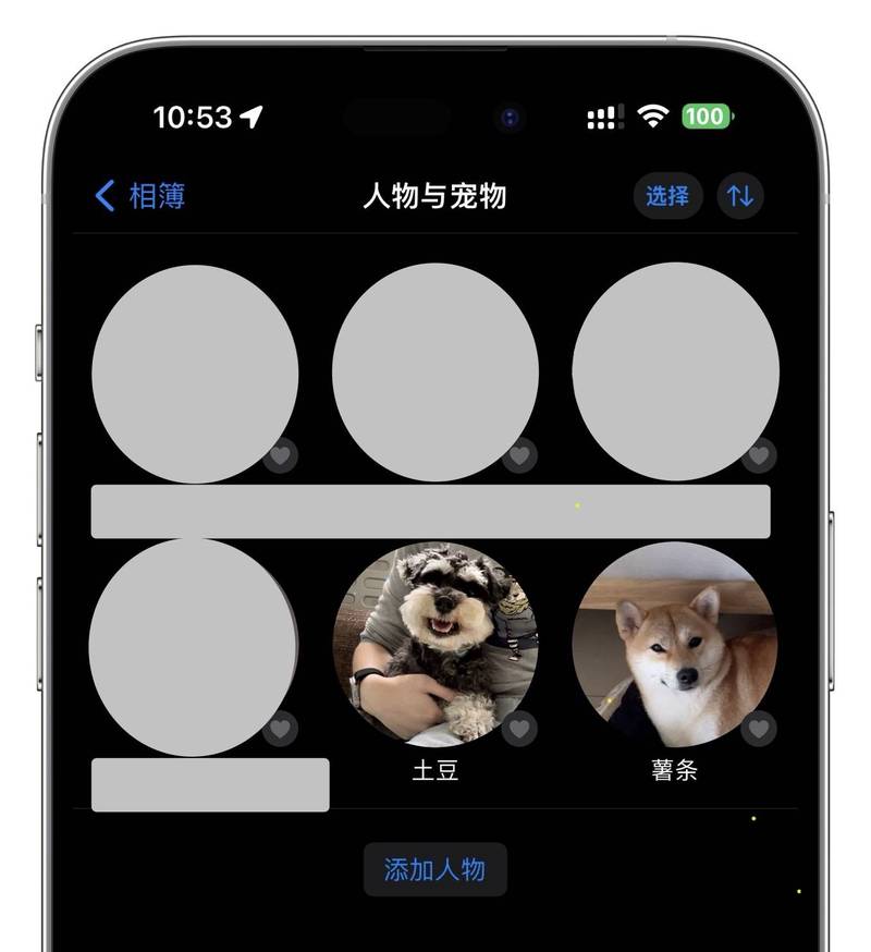 我家的小狗日记！