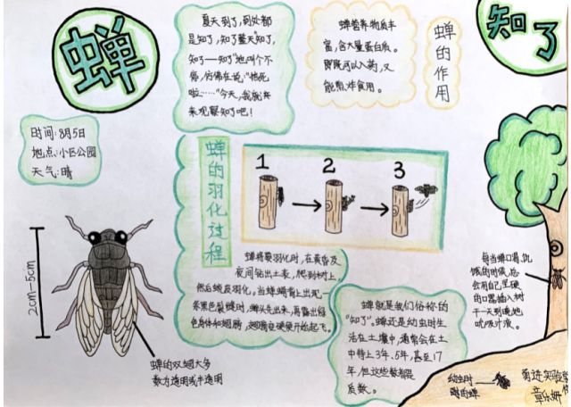 漫步于自然之海|今日的发现与感悟 漫步于自然之海|今日的发现与感悟