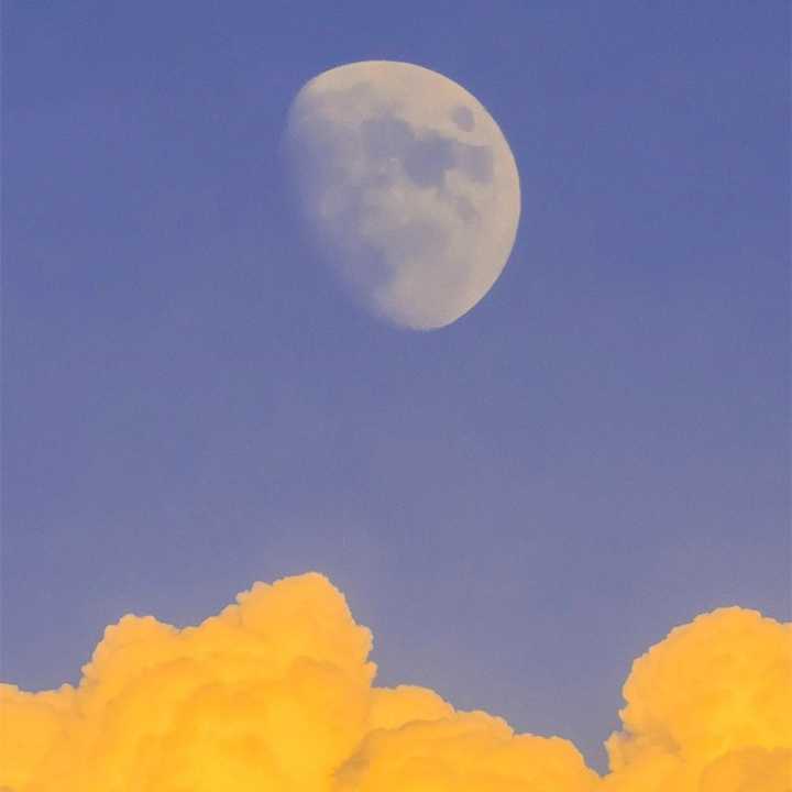 委婉情话中的心动瞬间…