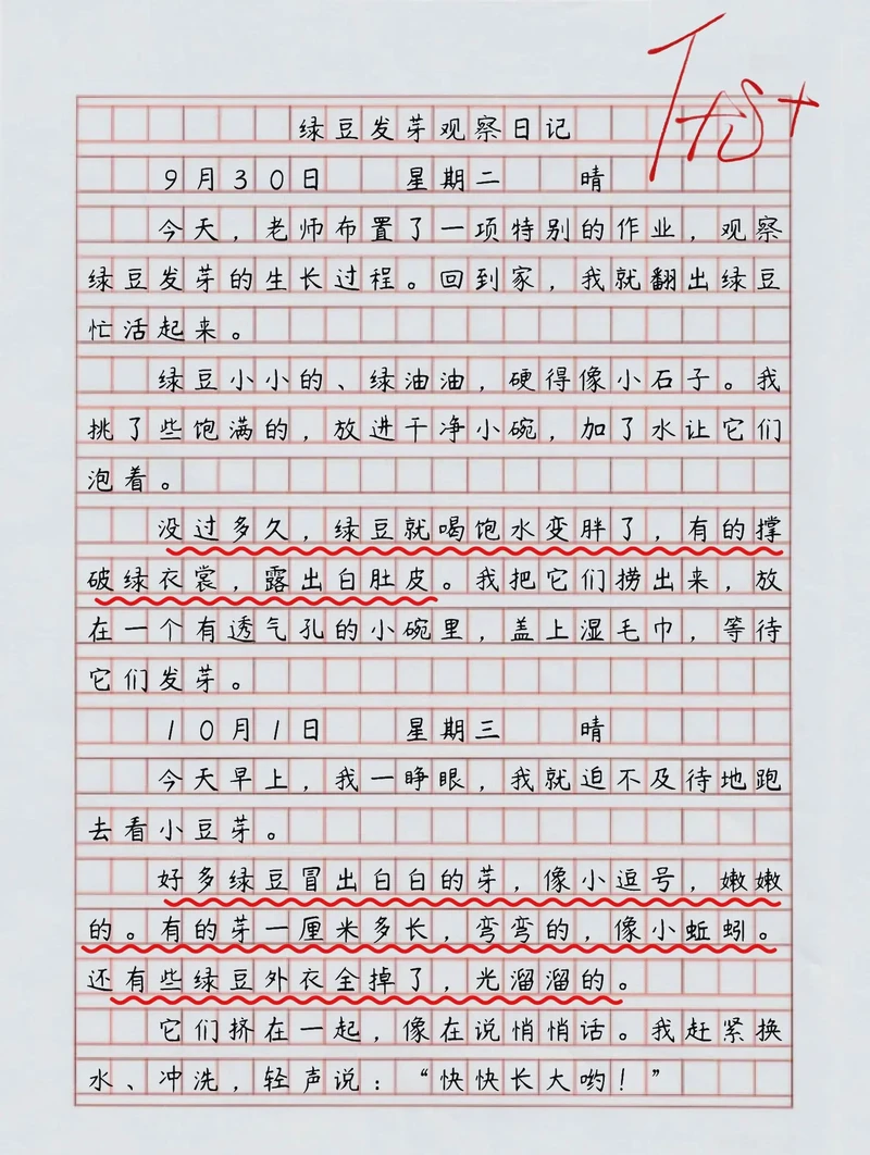 绿萝的微笑与成长…