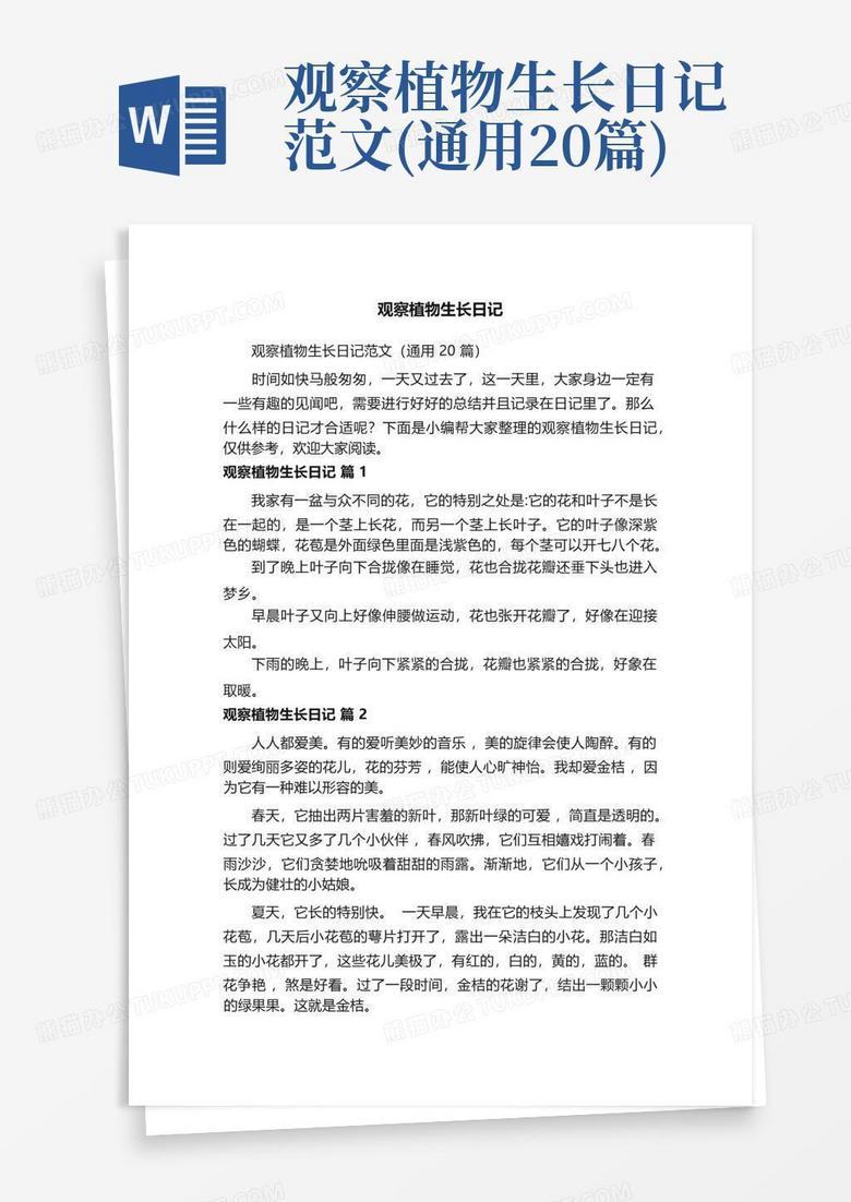 晨光中的绿意盎然？