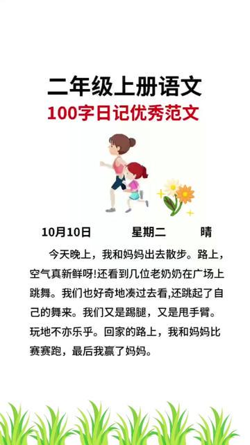 植物日记丨一盆绿植的陪伴