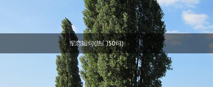 写给军人的温柔信笺·那些藏在风里的告白 写给军人的温柔信笺·那些藏在风里的告白