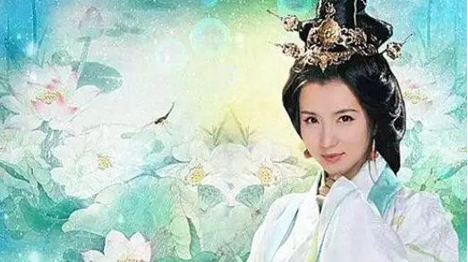 三国智斗丨赵云智取貂蝉