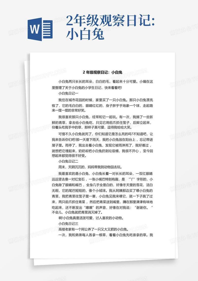 和我的小白兔一起度过的日子！