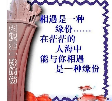 缘分的温度丨那些打动人心的情话 缘分的温度丨那些打动人心的情话