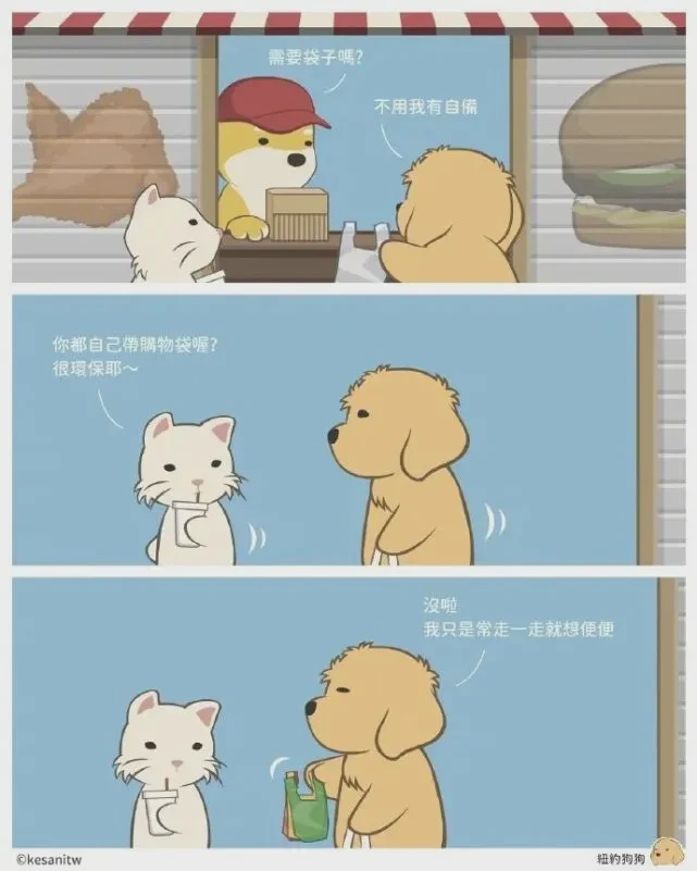 猫和狗的爱,是两种温柔的诗 猫和狗的爱,是两种温柔的诗