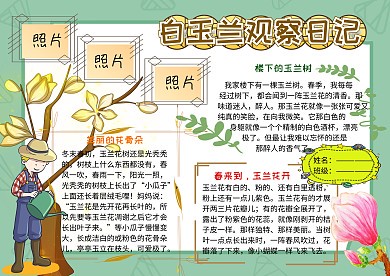 晨光中的猫咪奇遇记！