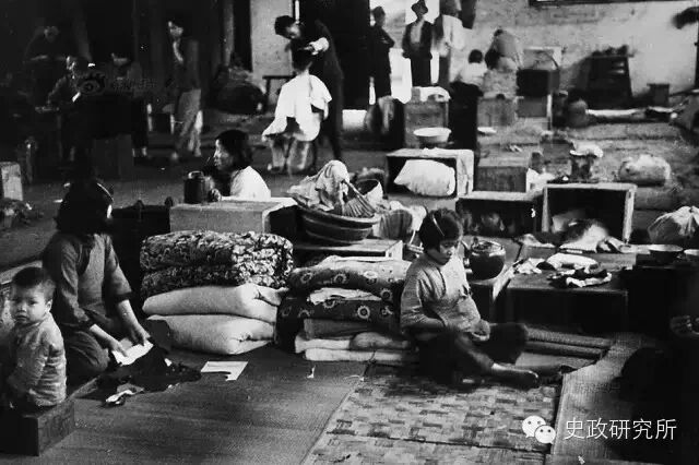 老槐树下的第一百个夏天…