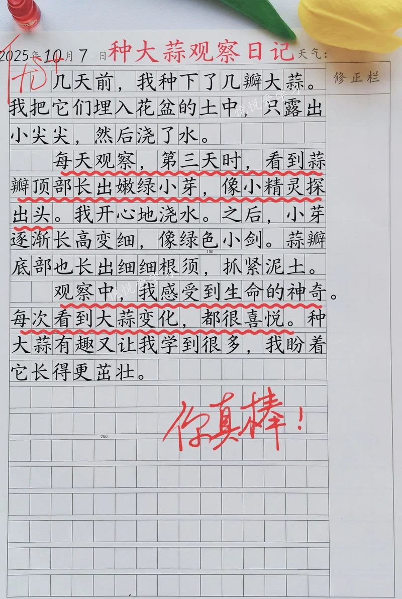 那抹绿意，我的心头好？