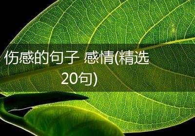 情话长句，诉不尽的伤心情愫…