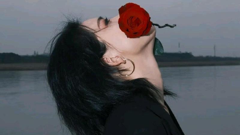 在忙碌的日子里，你是我心中的诗篇！