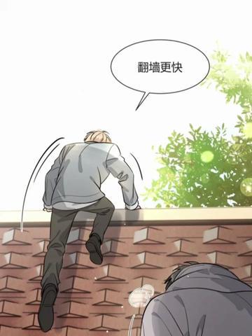 琉夏—时间之舞者