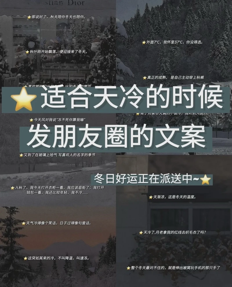 冬日里的第一缕寒意？