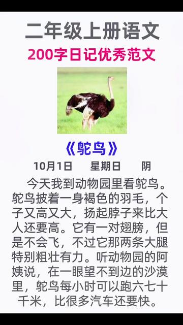 我家的小猫今天有点怪…