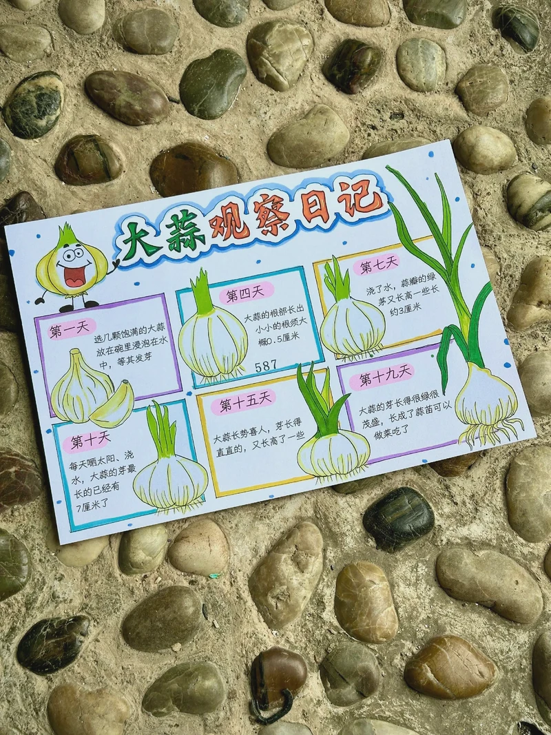 看着那盆蒜苗疯长,我居然有点感动… 看着那盆蒜苗疯长,我居然有点感动…