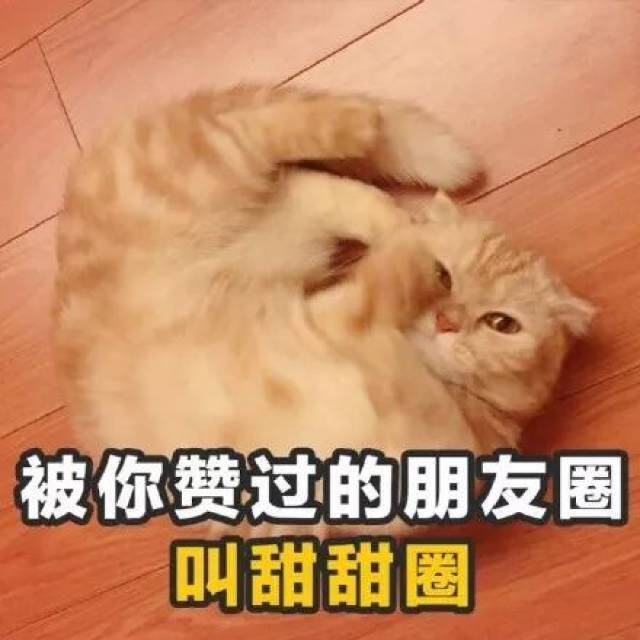 情话哥哥的温柔陷阱